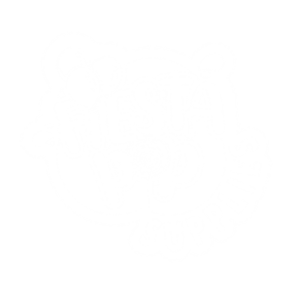 Fiesta Pop Supplies